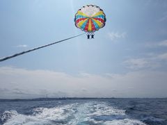 Ȃ݂CoCoMarineւ̓eʐ^1