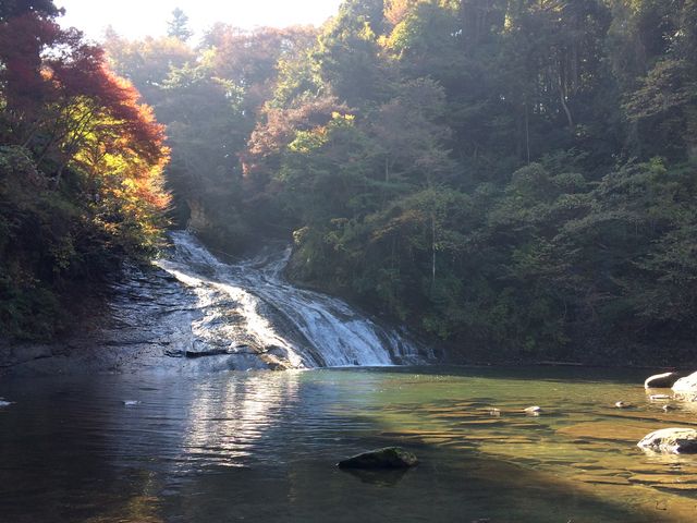 �I���̑�_�{�V�k�J