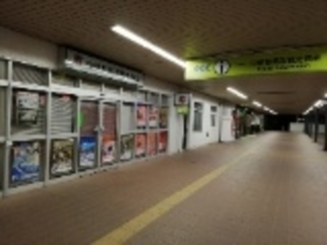 ��������_���Ö�n�k�ό�����