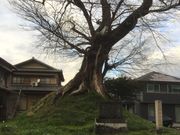 hide̖쑺ꗢ˂̓eʐ^2