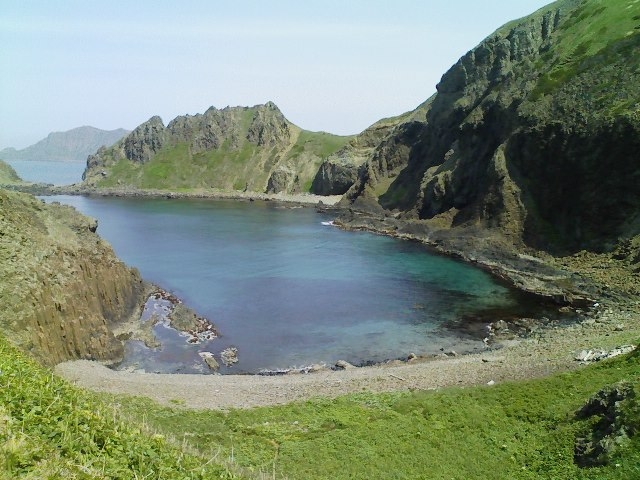 �X�J�C��_�當�K�C�h�T�[�r�X