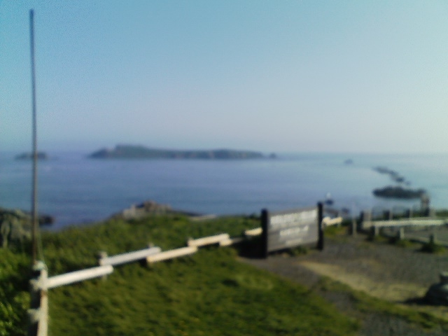 �X�R�g����_�當�K�C�h�T�[�r�X