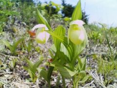 ~co`̗當KChT[rXւ̓eʐ^1