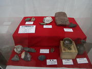 shiba̐AȋLOفuX̉Ɓv̓eʐ^1