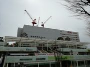 kelly̏KusKu앶z[̓eʐ^1