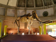 aki̒ރiE}ۋLOق̓eʐ^1