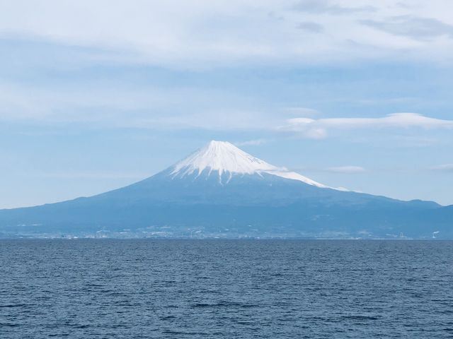 �������Ă��钭�߂Ƃ͈���ĊC����]�ޕx�m�R����͂ƂĂ��D��Ȓ��߂ł����B_�x�͘p�t�F���[