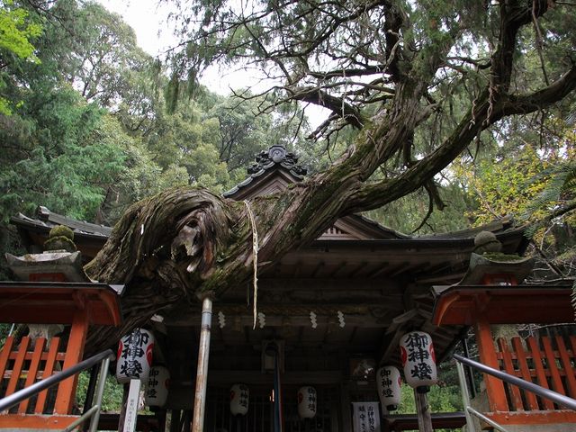 Yanwenli����̔���O���_�Ђ̓��e�ʐ^3