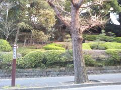 usa̓{뉀izej[I[^jjւ̓eʐ^1