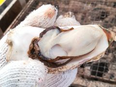 �߂肳��̃J�L�̈����@�򗴊ۂւ̓��e�ʐ^1