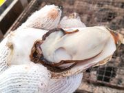 ߂肳̃JL̈@򗴊ۂ̓eʐ^1