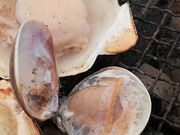 ߂肳̃JL̈@򗴊ۂ̓eʐ^2