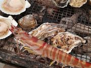 ߂肳̃JL̈@򗴊ۂ̓eʐ^3