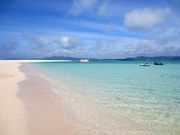 ��݂�������̃n�e�̕l�̓��e�ʐ^1