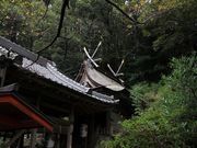 Yanwenli����̔���O���_�Ђ̓��e�ʐ^1