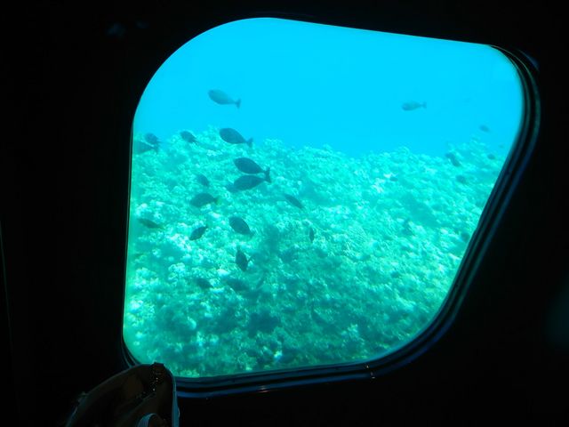 �A�N�A���E���W������̒���_�x�C�N���[�Y�E�{�Ó��@�����u����