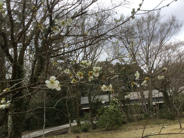 �~�̉�_�Ƃ��H�[�J�t�F