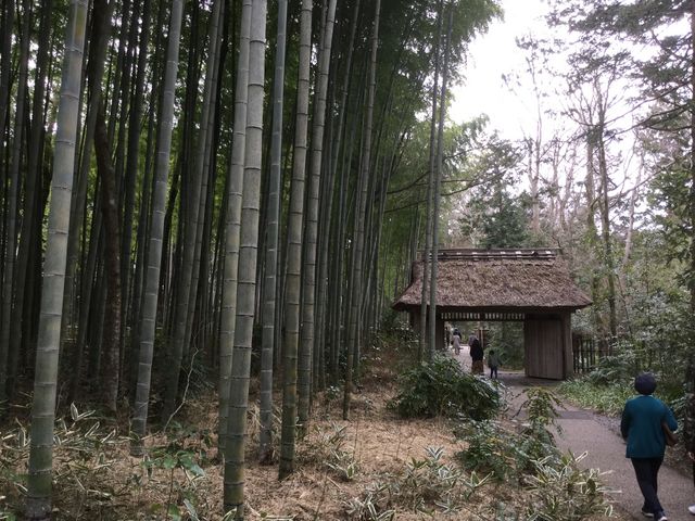 ��̂�������_�Ƃ��H�[�J�t�F