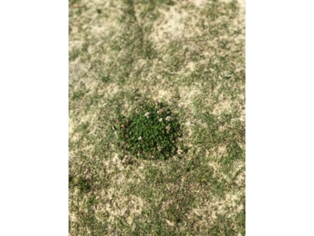 ��_���̏o����