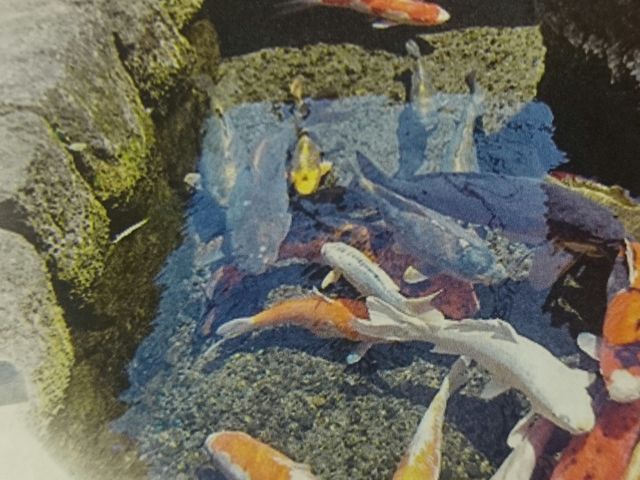 �Â������݉������H���s�������j����B_��̉j���܂�