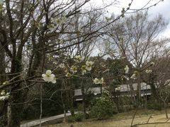 sato����̂Ƃ��H�[�J�t�F�ւ̓��e�ʐ^1