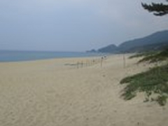 䂤̉icEȂlւ̓eʐ^1