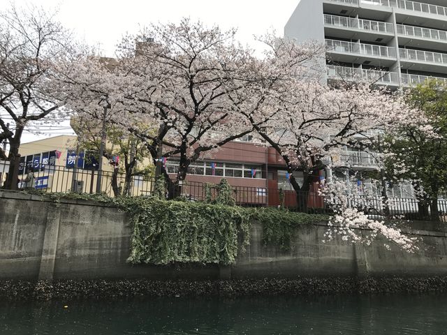 �O���炭�炢�ł����B_���l�t�F���[�{�[�g�������