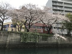 c̋ltF[{[gЂւ̓eʐ^1