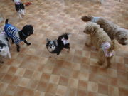 l̕یqӂꂠJtF@MOKOƂ̓eʐ^1