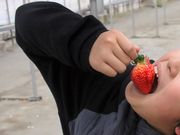 Ƃ񂳂̃Ahot@[΂̓eʐ^1