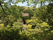 jkammy07̉~뉀̓eʐ^2