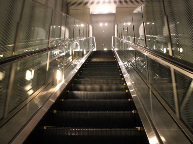 �G���x�^�[���~�肽��G�X�J���[�^�[���Q���_�~�b�h�����h�X�N�G�A