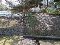 �X�k�v����̏鉺�����̍��ւ̓��e�ʐ^1