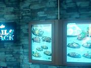 肻Ȃ̃JtF gC&gbN CNXsAX̓eʐ^1