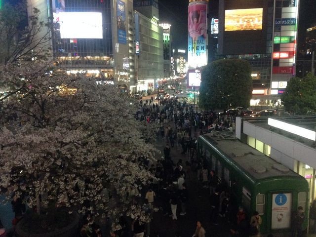 炭ƕ͋Cς܂_aJwOXNu_