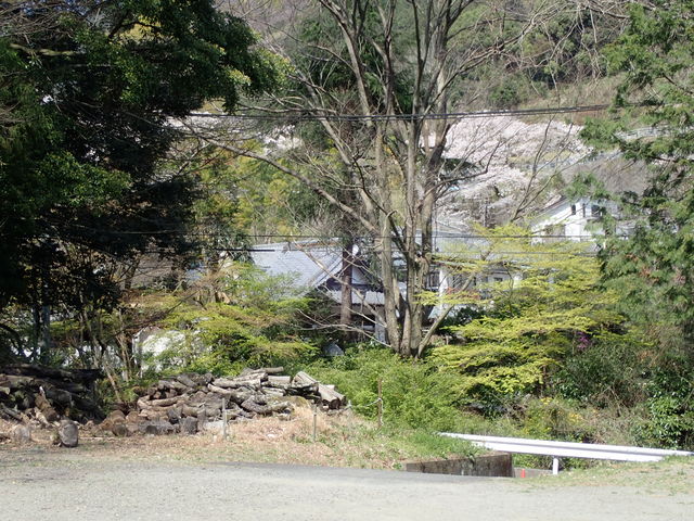 �L�򎛉���_�L�򎛉���