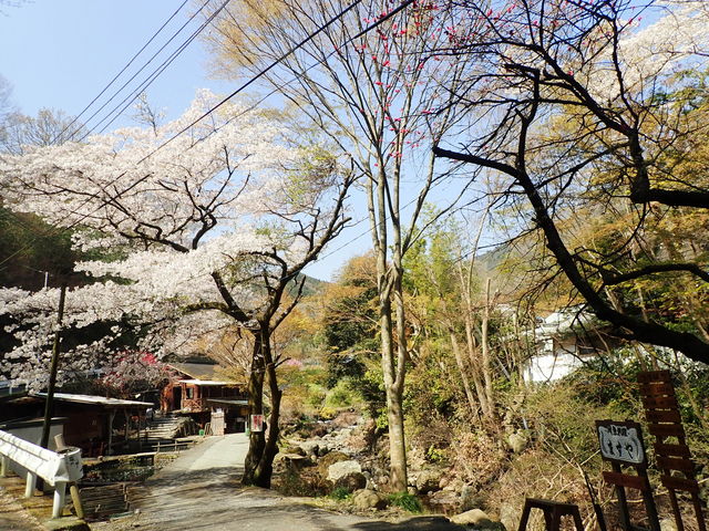 �����L���C�ł���_�L�򎛉���