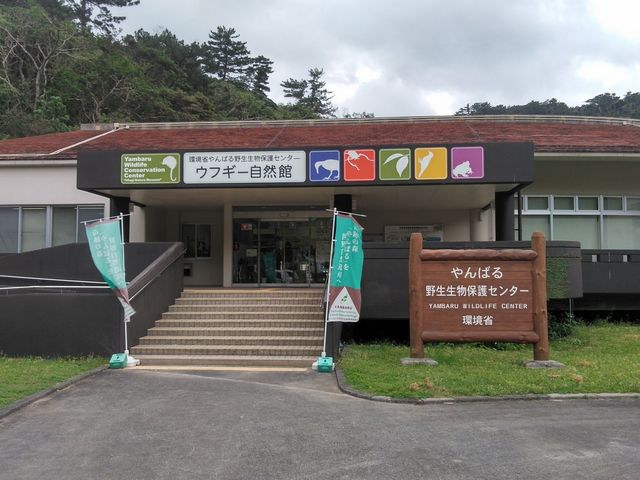 ނ̂΂쐶یZ^[@EtM[Rق̓eʐ^1