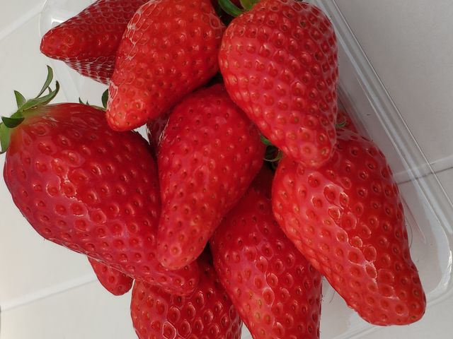 �^���ԂȃC�`�S�������ς�_�݂悵�ς��ς��t�@�[��