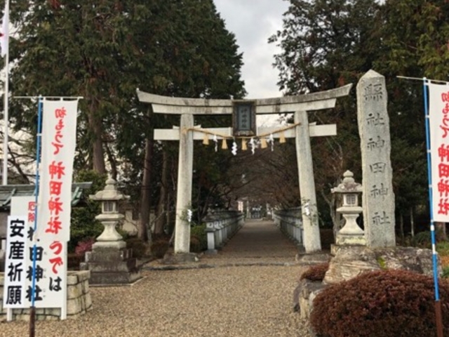 �p���[�`���[�W_�_�c�_��