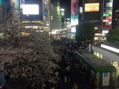 Ё[񂳂̏aJwOXNu_ւ̓eʐ^1