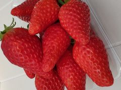 ͂Ȃ񂳂݂̂悵ςςt@[ւ̓eʐ^1