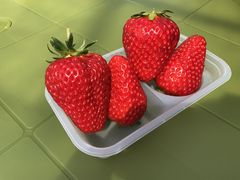 725joumonfarmi傤ӂ[ށjւ̓eʐ^1