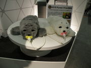 産業技術総合研究所サイエンス スクエアつくば アクセス 営業時間 料金情報 じゃらんnet