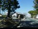ま～ぼ～さんの旧東海道松並木（静岡県浜松市）の投稿写真1
