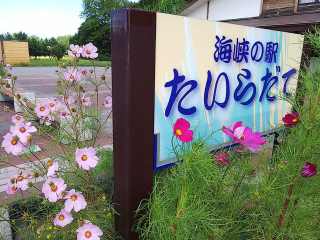 �R�X���X�ƊŔ�_���̉w�@�����炾��