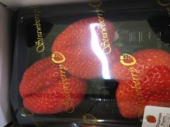 JIjoumonfarmi傤ӂ[ށjւ̓eʐ^1