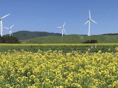 ~Nۂ̉l@؂̉Ԕւ̓eʐ^1