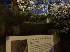 ��������̓c�ۏ�Ղւ̓��e�ʐ^1