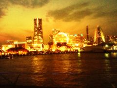 l`傳񋴍ۋqD^[~i̎ʐ^1